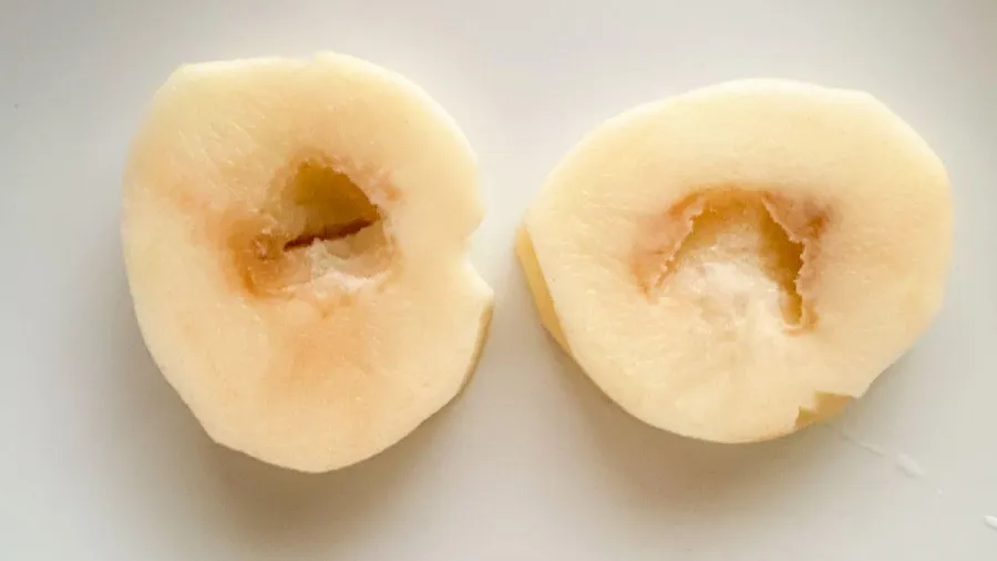 馬鈴薯空心還能吃嗎？一次搞懂正確處理方式的封面圖片