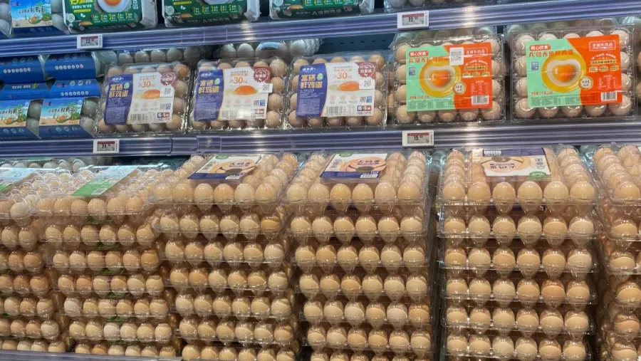 花高價買土雞蛋、富硒蛋？別讓「營養神話」掏空錢包！的封面圖片