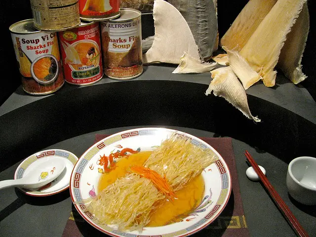 經過繁複泡發與燉煮，優質魚翅會變得爽滑彈牙，齒間輕咬便脆嫩斷開，這種獨特的「掛喉」感，在食材中獨樹一幟。（來源：wikipedia）