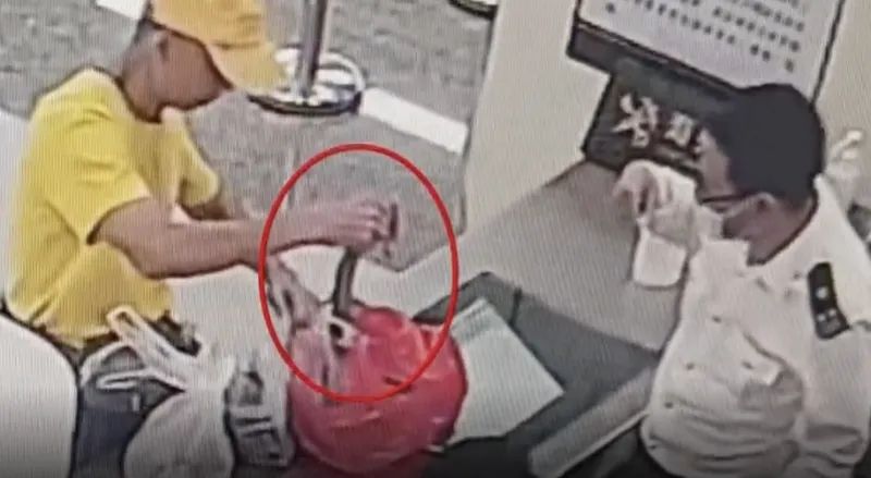 旅客拎出一條蛇。