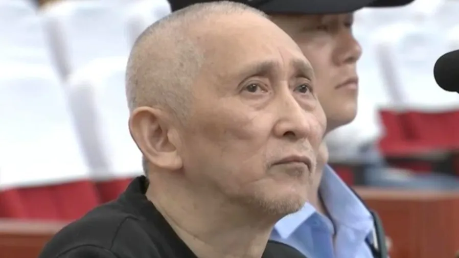 四川王浩文拐賣兒童14人獲利19.9萬  屢教不改終審死刑  20年流竄作案多地受害家庭破碎的封面圖片