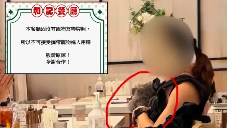 西灣河和記餐廳疑無牌放狗入店 食環署到場口頭警告負責人的封面圖片