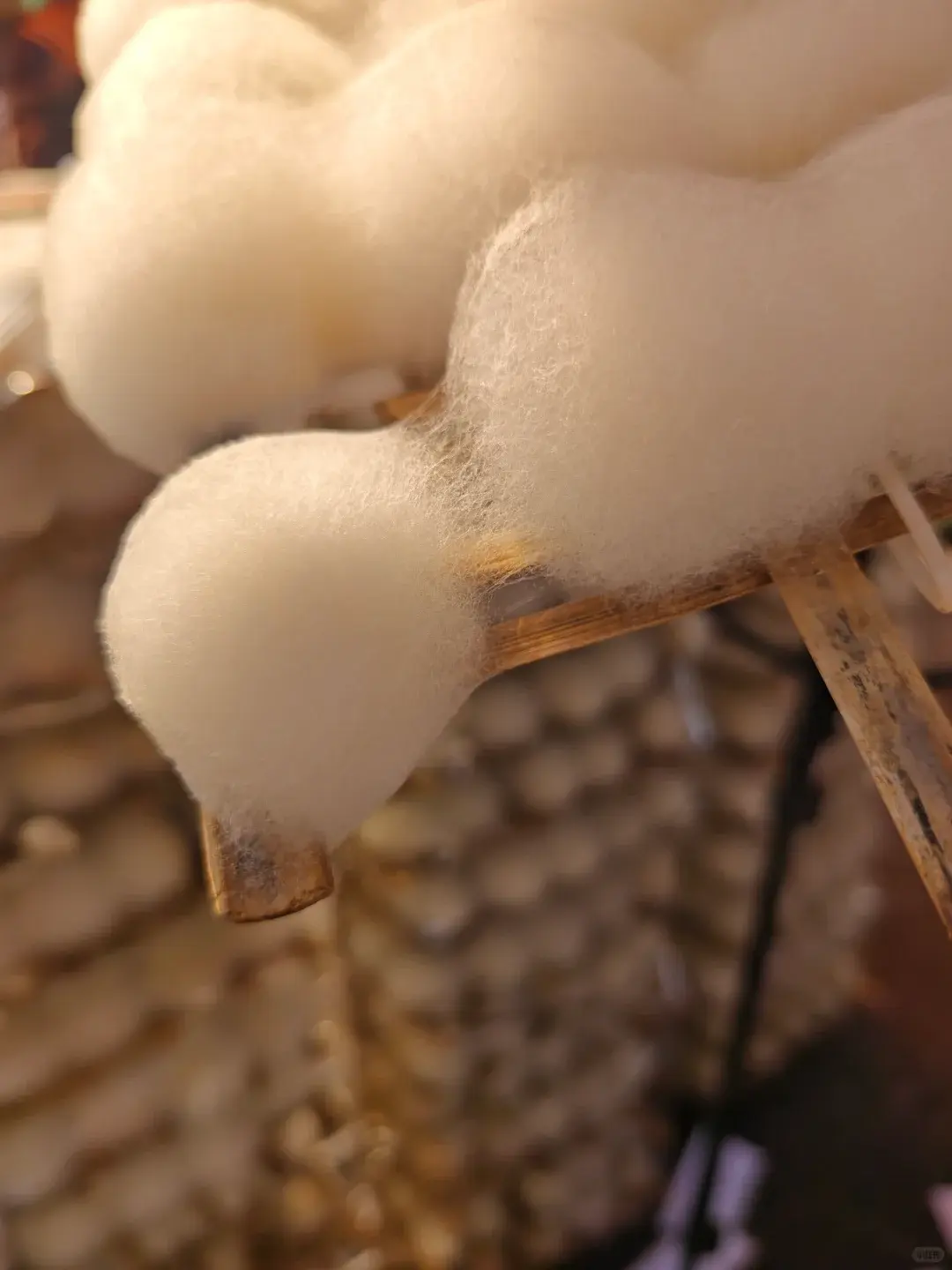 內地全網都在複刻黴豆腐，它的美味密碼和食用禁忌全揭秘！（示意圖來源：小紅書網友）