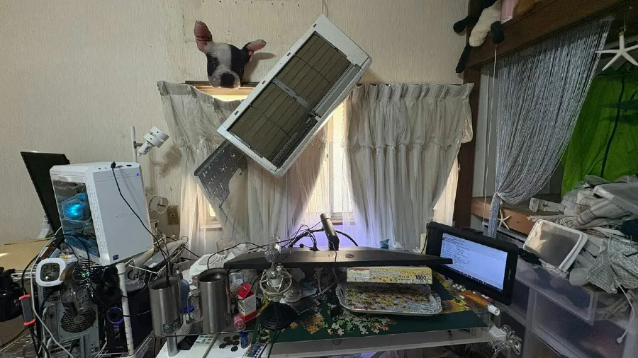 日本直播主被冷氣砸中，點名店家後，為何平台選擇不追究？的封面圖片