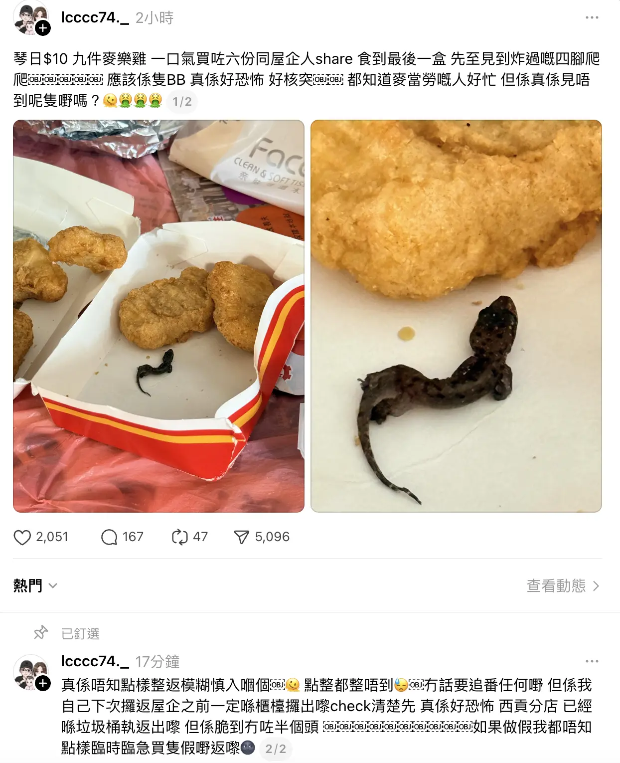 事主 lcccc74._在帖文中透露，前日因麥當勞 $10 九件麥樂雞的優惠活動，一口氣購買了六份準備與家人分享。當一行人食到最後一盒時，突然發現其中混有一隻被炸過的「四腳爬爬」，仔細查看後確認爲一隻 BB 壁虎。(圖：threads)