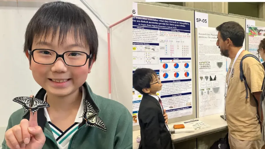 蝴蝶還記得自己是毛毛蟲嗎？日本小學生實驗結果震撼學界的封面圖片