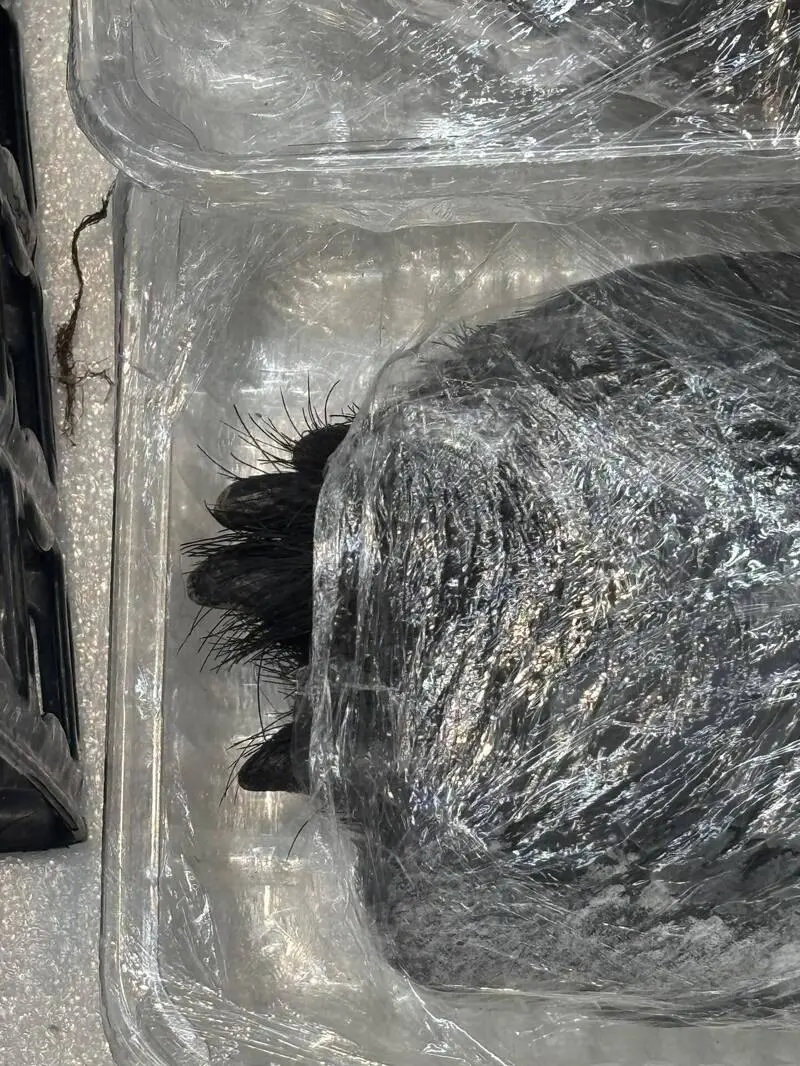 日本超市竟賣帶毛熊掌？標價5萬5日圓嚇傻網友！（來源：Threads）