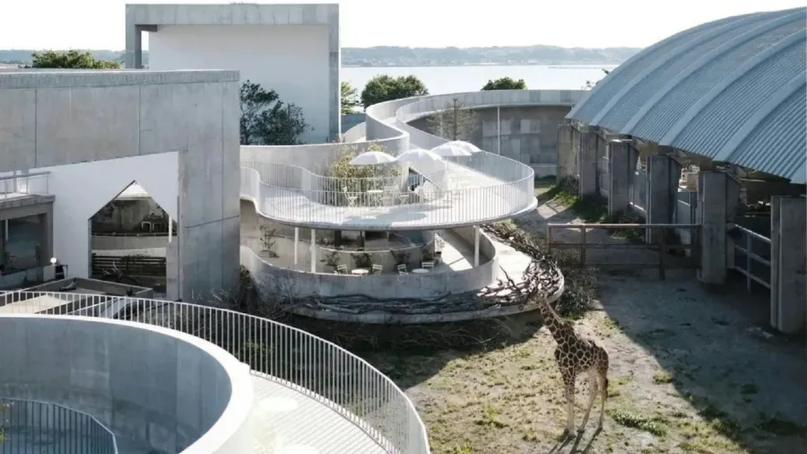 日本舊博物館變身「野生動物大本營」，人類反而成了「訪客」的封面圖片
