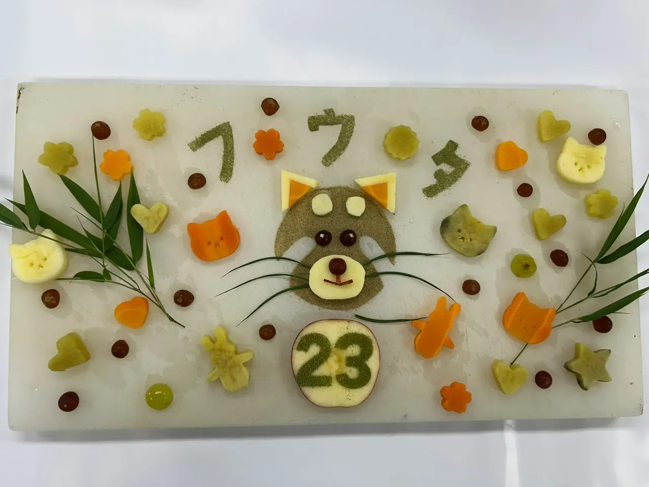 日本千葉市動物公園明星小熊貓「風太」歡度23歲生日，換算人類年齡達百歲，僅差一年可挑戰日本最高齡紀錄。目前牠身心狀況良好，園方暖心為其舉辦生日慶祝活動。（來源：ChibaZoo@X）