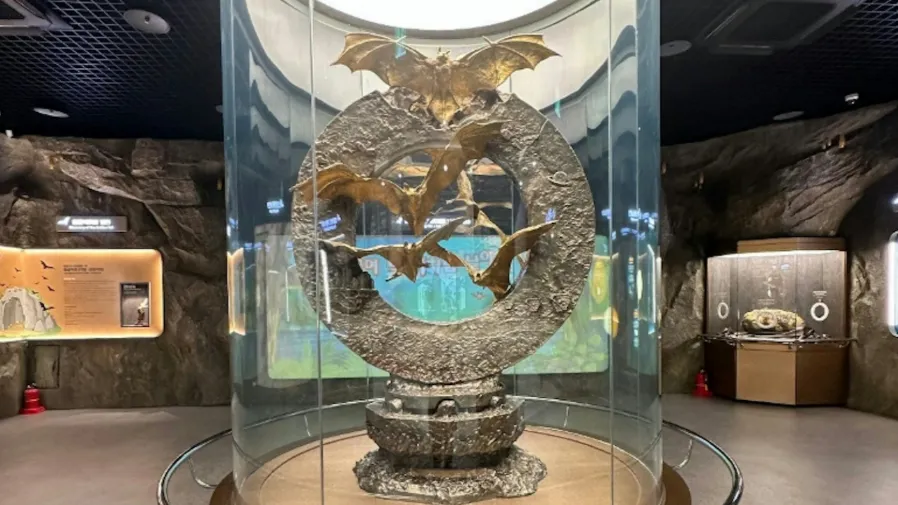 當年被罵浪費納稅錢的韓國金蝙蝠，如今為何身價暴漲14倍？的封面圖片