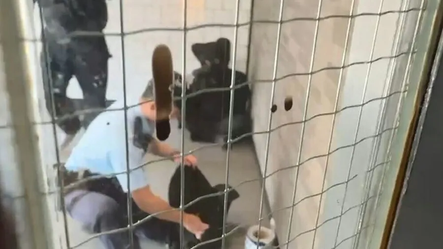 荃灣大河道麥當勞梯間驚現持刀男  警持盾制服涉管有攻擊性武器  36歲尼泊爾籍男子被捕的封面圖片