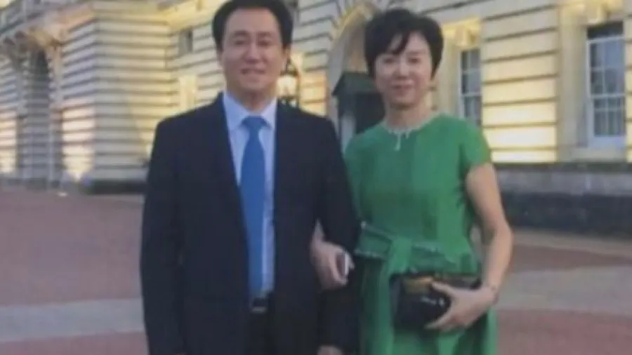 據報恒大許家印前妻丁玉梅倫敦購入多套豪華公寓的封面圖片