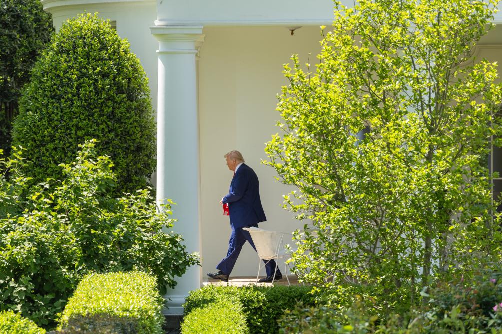 4月29日，在華盛頓白宮，美國總統特朗普走向南草坪準備登機。(新華社)