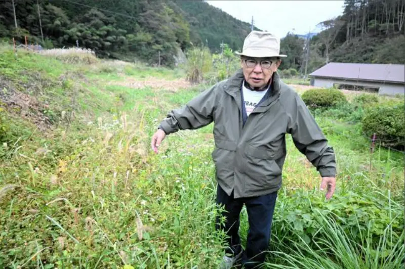 55 年前曾有希巴貢目擊情報的地點。（來源：朝日新聞）