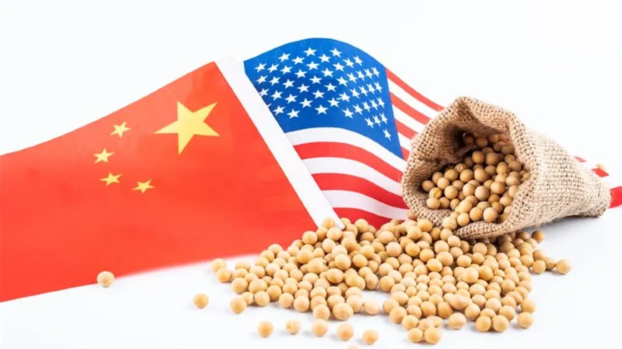 美方稱中國完成1/3大豆採購承諾 格里爾：中方遵守協議的封面圖片