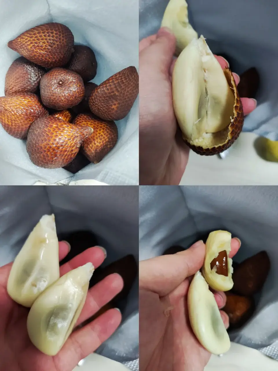 蛇皮果（來源：小紅書網友）