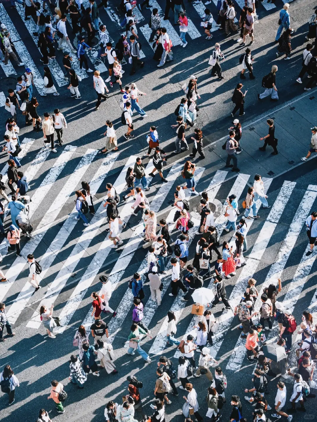 日本今年元旦人口統計出爐，國民人口42年來首度跌破1.2億，年減91萬7000人創調查最大降幅。少子老齡化加劇，外籍居民續增，僅少數地區維持人口正成長。（示意圖來源：Nathaniel Guo@小紅書）