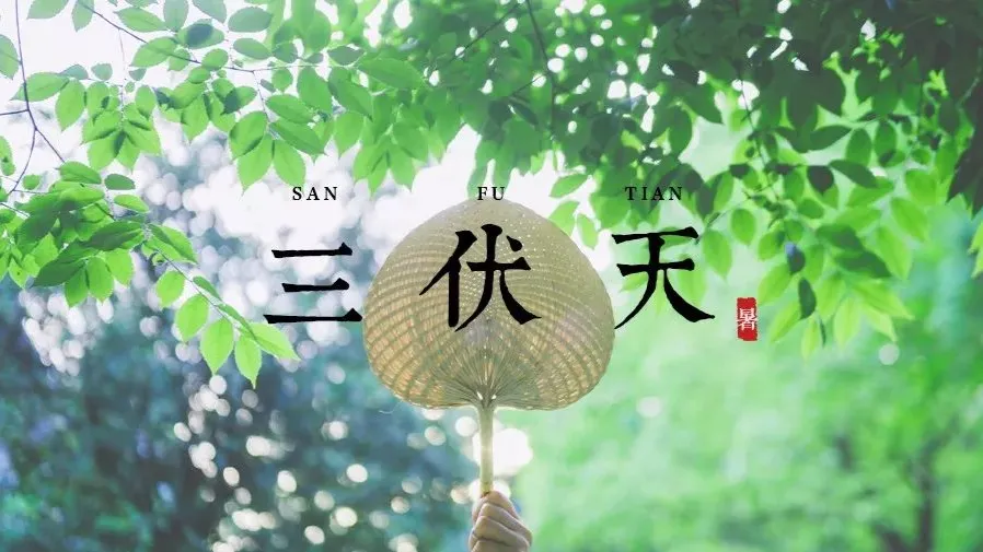 三伏天怎麼吃才不苦夏?30 天竟養出明星好氣色!的封面圖片