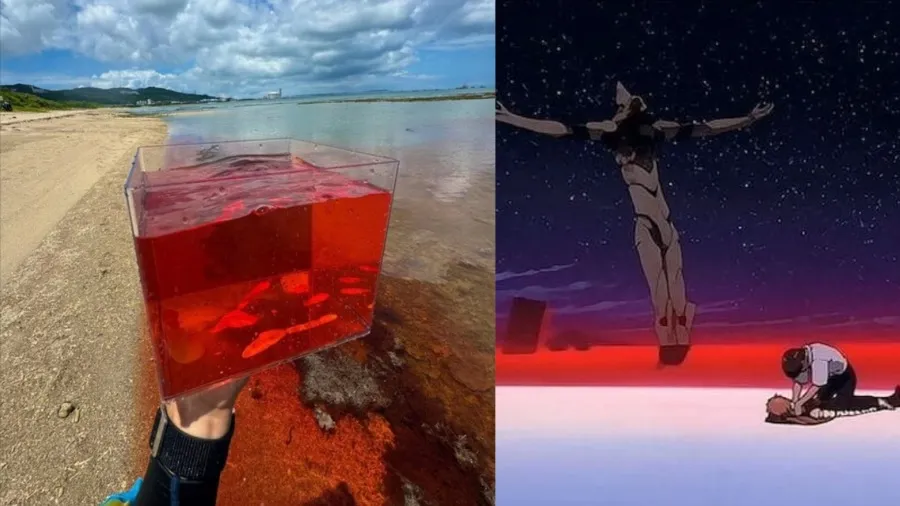 日本沖繩竟有純天然「紅海」？簡直是《新世紀福音戰士》場景成真的封面圖片