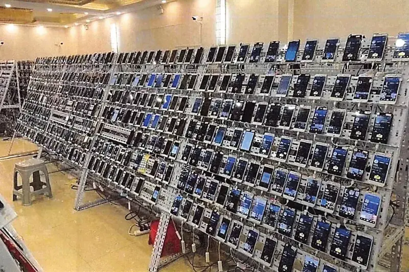 陳志在詐騙園區建立手機農場，透過門號及科技串聯，以亂槍打鳥方式誘騙民眾上當。（網上圖片）