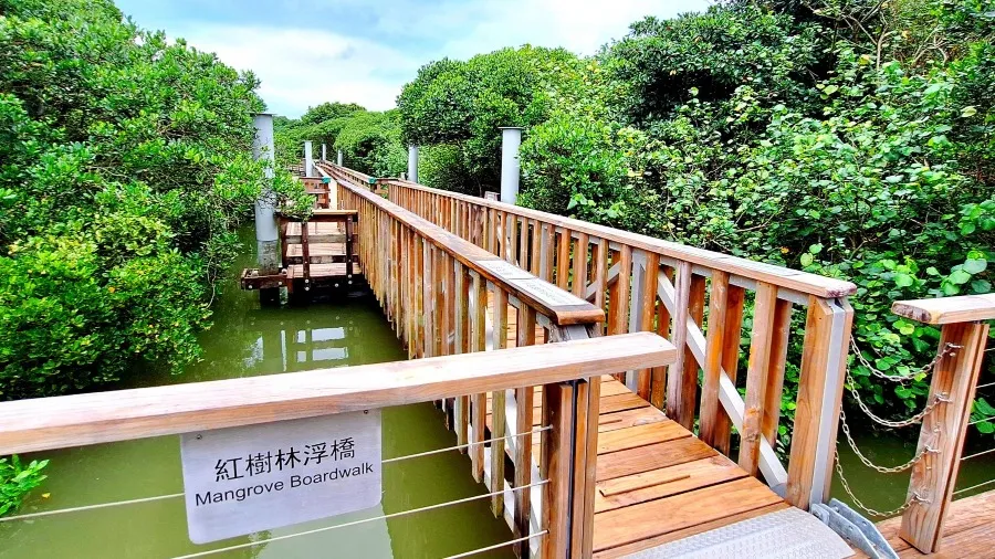 港媽為蠶豆症孩爭取香港濕地公園移走金銀花 網民轟自私：毀生態如當年怕羞草 園方最新回應了的封面圖片