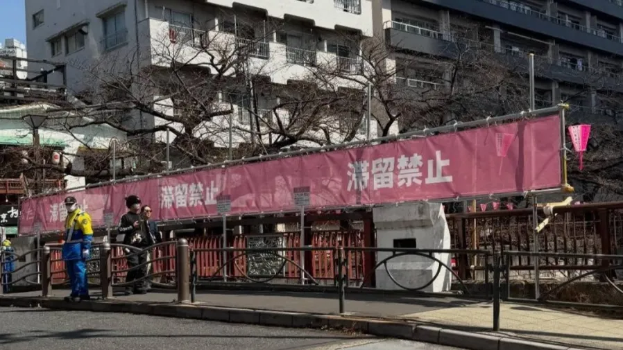 東京頂級賞櫻勝地，為何掛上惡評滿滿的警示布條？真相太紮心的封面圖片