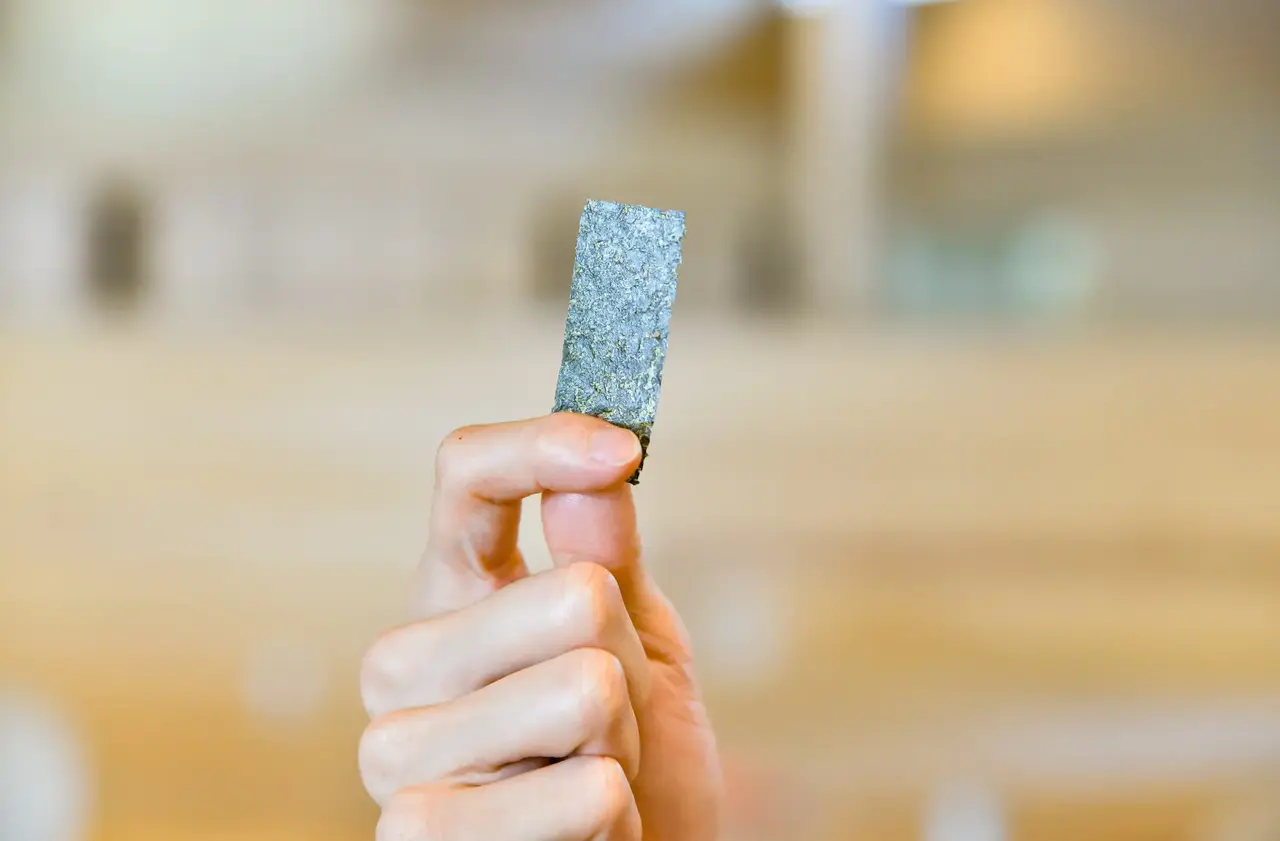 如今通過混合植物性原料染色、再以獨家技術烘烤，居然搖身一變成了高附加價值的擬真海苔。（來源：カルビー株式会社）