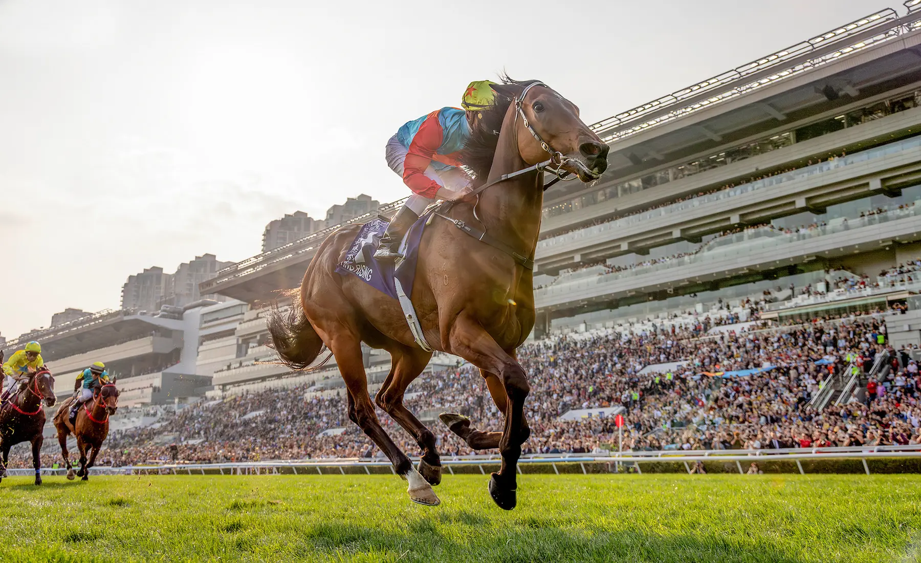 騎師潘頓全程未揮一鞭，不僅締造歷史性的18連勝佳績，更打破由「精英大師」保持近21年的17連勝香港紀錄，同時以1分19秒36的成績，刷新沙田1400米草地賽事紀錄。(圖：賽馬會)