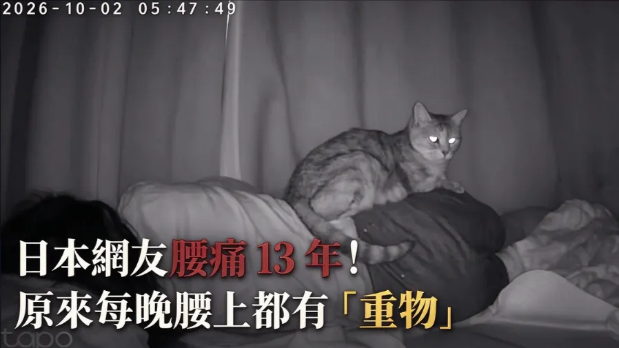 日本網友受腰痛折磨13年，監視器一開才發現每晚腰上都有「重物」的封面圖片