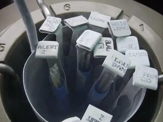 人工提取的遺傳信息分成小份後，每份能賣250-350盧比（是普通種牛的10倍），尤瓦傑每年能產45000份，蘇丹曾一年產54000份，光配種就能帶來千萬盧比收入。（來源：網絡）