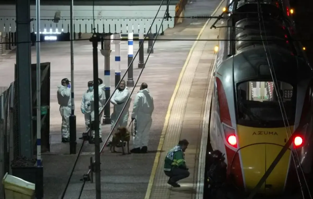 大批警員在現場調查（影片截圖）