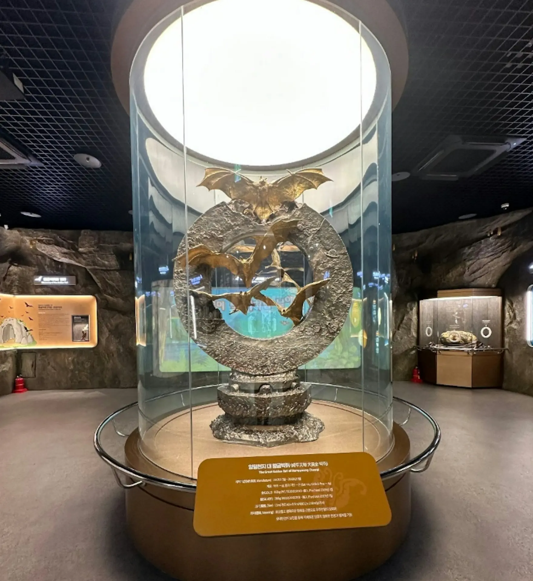 當年被罵浪費納稅錢的韓國金蝙蝠，如今為何身價暴漲14倍？（來源：jongy064@X）