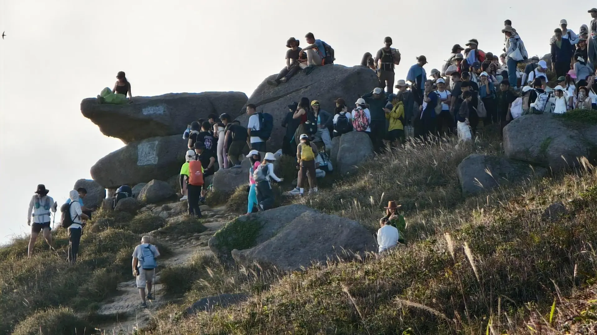 踏入 11 月芒草盛放期，香港大東山再現「人潮圍攻」場面。上周六（8 日）起，社交平台陸續湧現大東山人流爆棚的帖文，打卡點「跳板石」聚集大量遊人，被網友戲稱為「難民山」。(圖：網絡截圖)