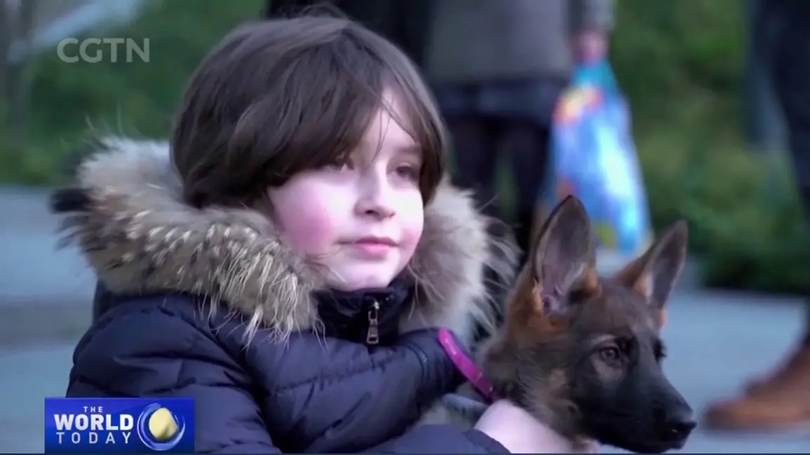 2021年7月，年僅11歲的他僅花1年時間就拿下安特衛普大學（University of Antwerp）物理學學士學位，隨後繼續留校攻讀碩士與博士學位。（來源： CGTN Europe@YouTube）