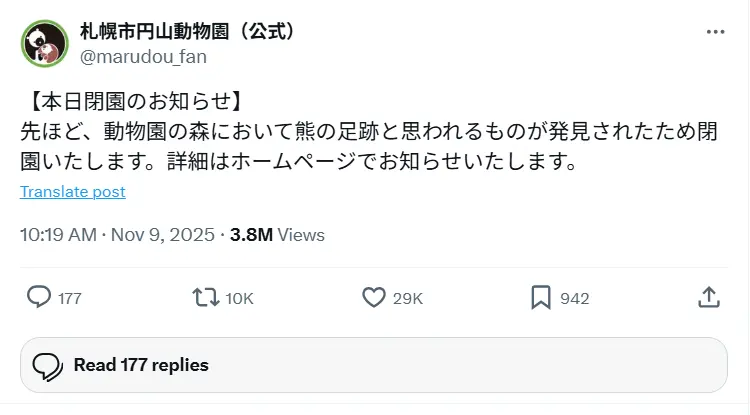 11月9日，札幌円山動物園現10厘米野生棕熊足跡，周日緊急閉園。（來源：marudou_fan@X）
