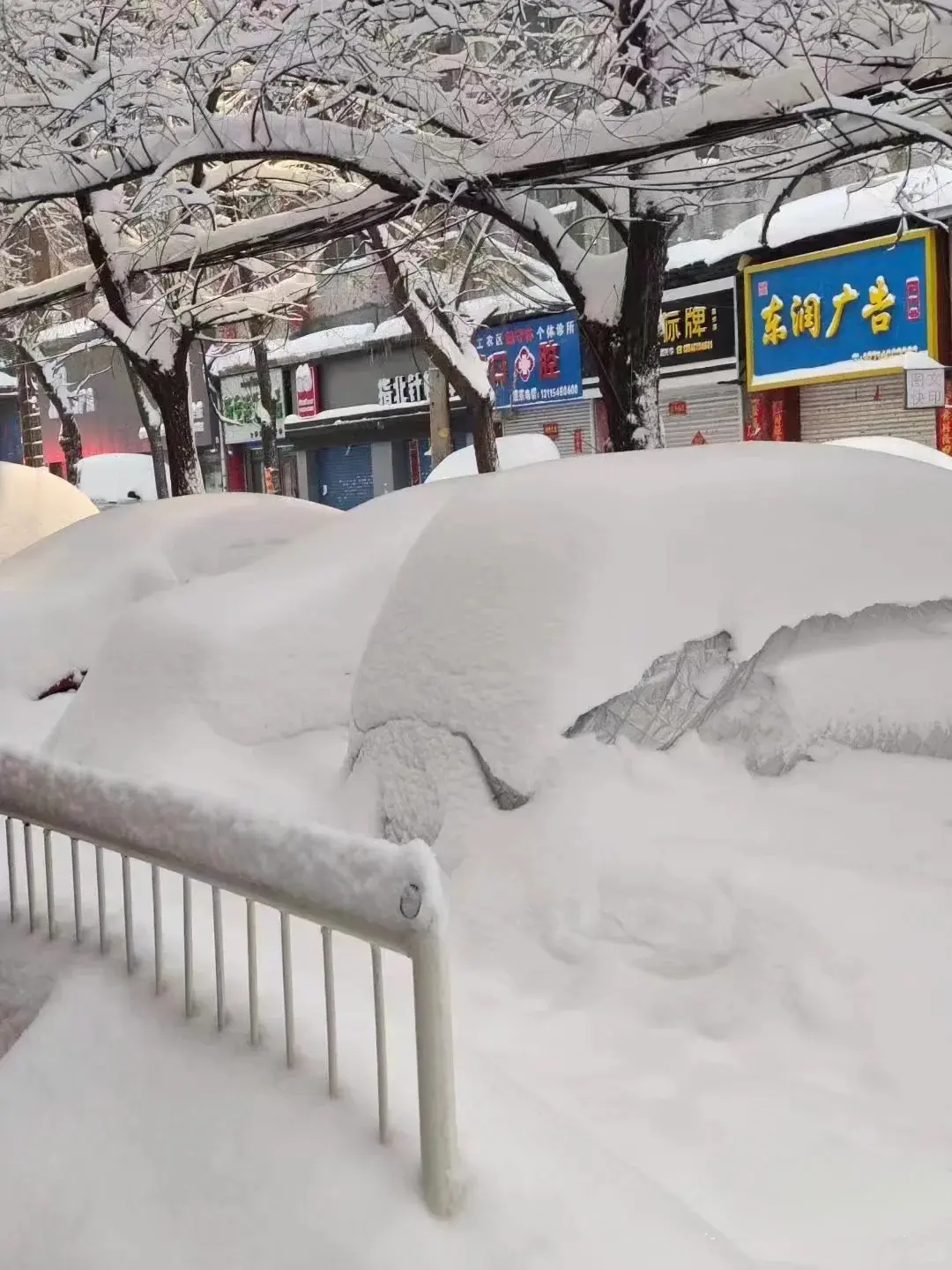 拉尼娜的影響從來不是全域統一的降溫，而是氣候資源的不均分配。（示意圖來源：小紅書網友）