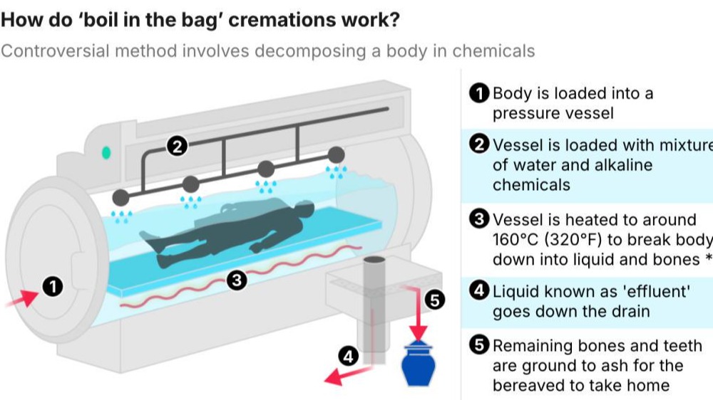 鹼性水解處理系統說明  （來源：網絡）