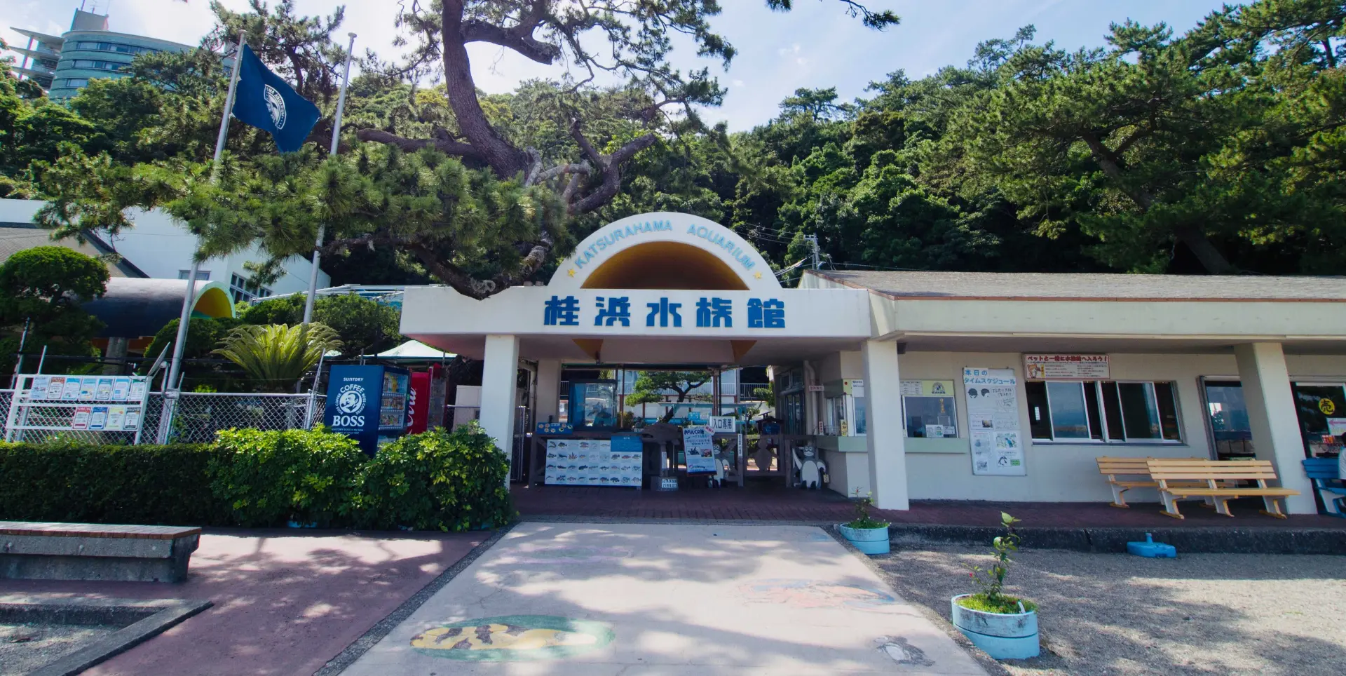 坐落在日本四國南部的高知縣，桂濱水族館向來以緊鄰太平洋的絕佳地理位置聞名，不僅展示來自國內外的多樣水生動物，傳遞海洋保育理念，更憑著親民的互動體驗，成為當地人氣觀光景點。（示意圖來源：網絡）