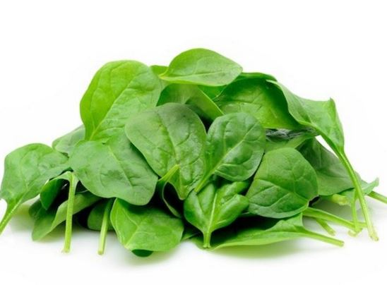 菠菜（示意圖來源：網絡）