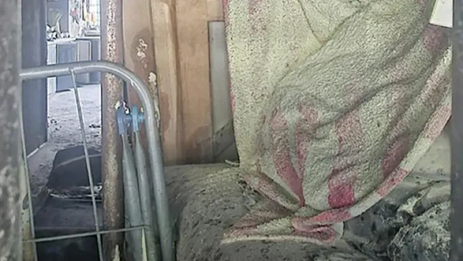 7人擠住公寓宿舍！新加坡離奇火警爆超住爭議，火因至今成謎的封面圖片