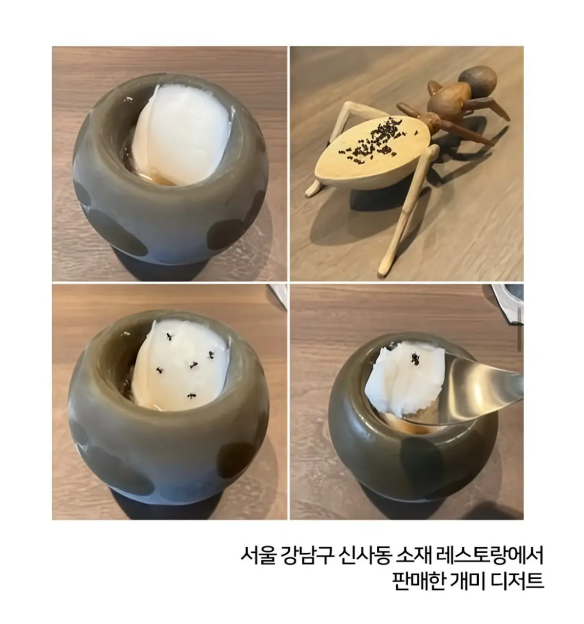 韓國首爾米芝蓮二星餐廳擅自使用未獲準食用之螞蟻製作雪葩，四年累計售出一萬二千份，非法獲利豐厚，因違反食品衛生法遭檢方起訴，螞蟻雖可中藥入藥，卻非合法食用食材。（來源：lessislessxxx@X）