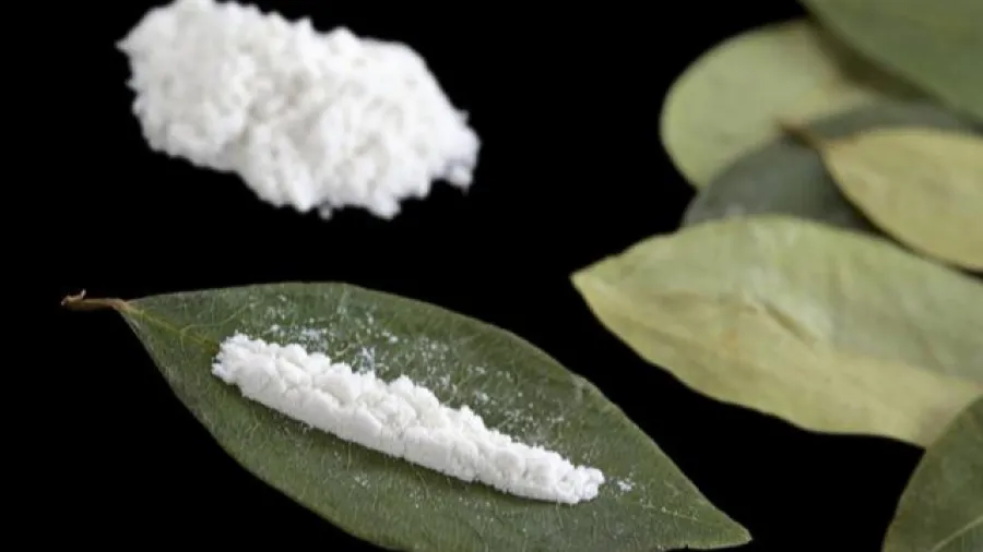 鐵證當場掉落！美國女子臀部藏毒拒不認罪，離譜藉口跌破眾人眼鏡的封面圖片