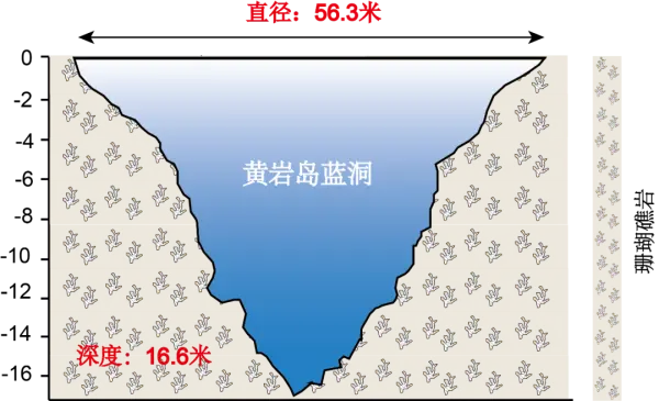 黃巖島藍洞基本形態示意圖
