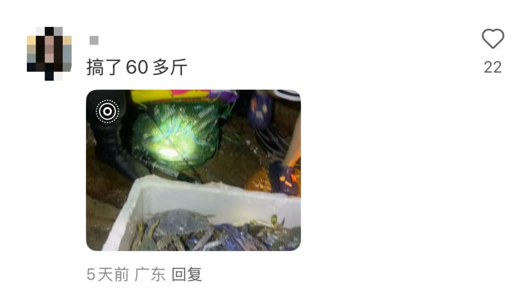 有人表示，撿到了六十多斤