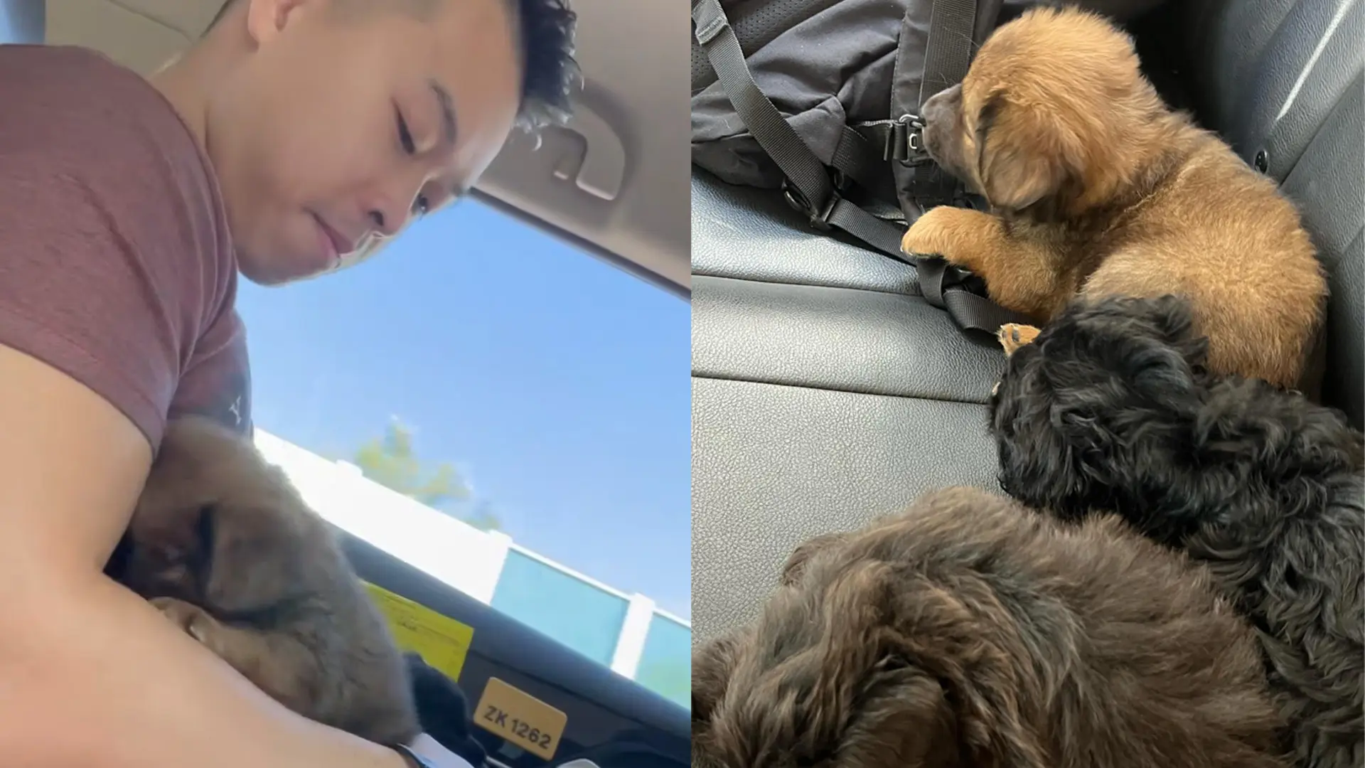 何先生帳號截圖。（wilfredhohk＠threads）