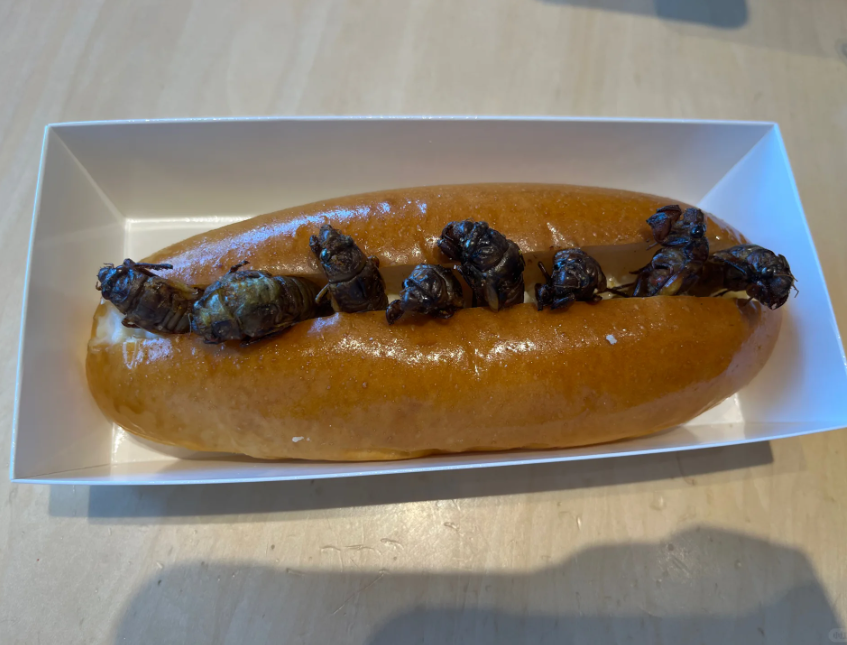 這個夏天，一款充滿驚奇的「知了猴麵包」橫空出世，成為美食圈的頂流話題。（來源：小熊軟糖@小紅書/評論區）