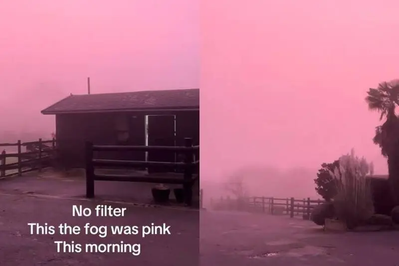 英國倫敦、牛津等地12月17日清晨現罕見粉紫色濃霧，民眾驚嘆如入夢境。（來源：crazytailsuk@Tiktok）