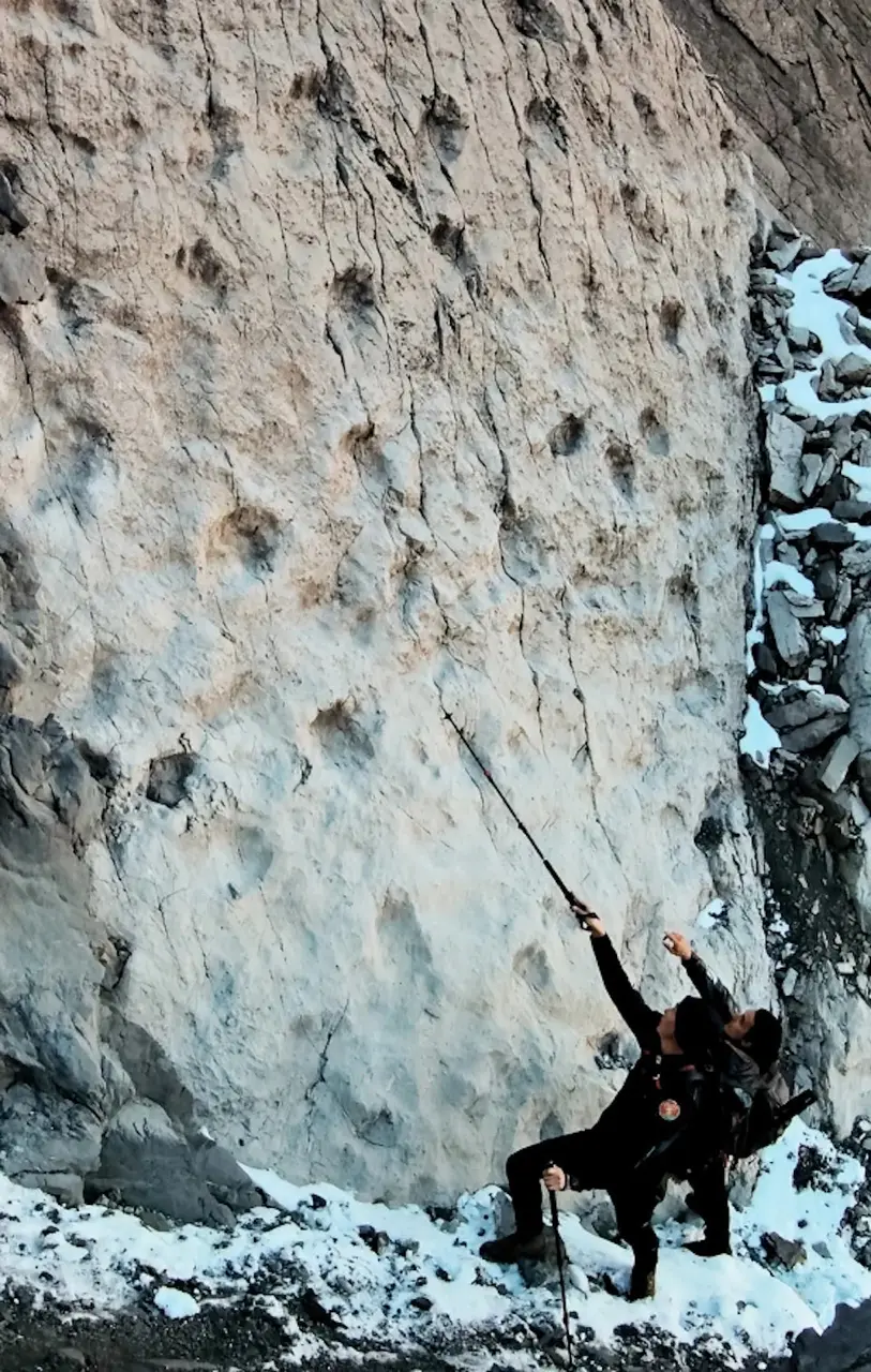 2億年前的「雪山鄰居」？2026冬奧場地驚現恐龍足跡牆！（來源：Museostorianaturale_milano@FB）