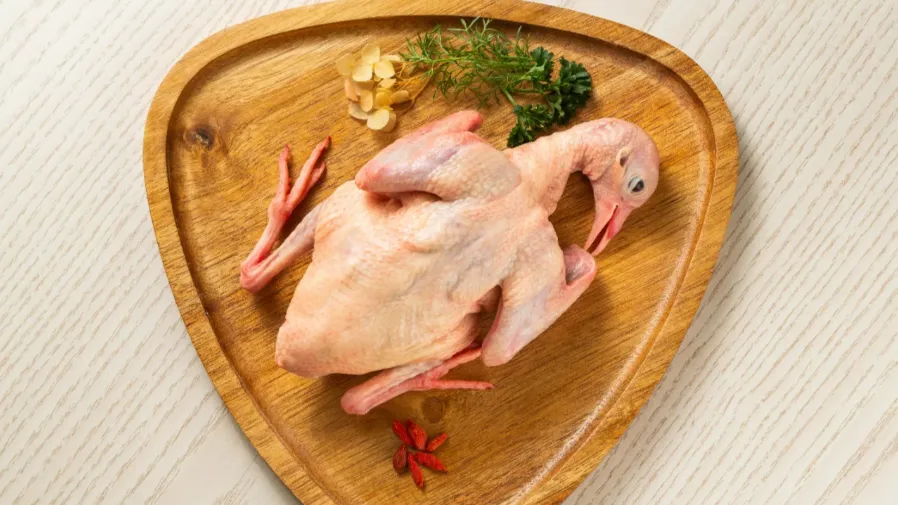 為何營養師都推鴿肉？5類改善＋3項禁忌一次看的封面圖片