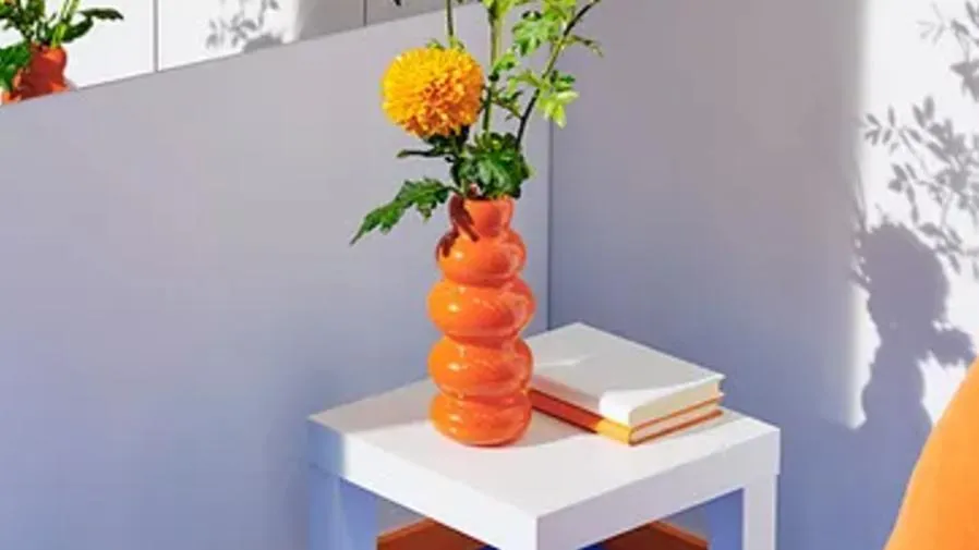 IKEA 花瓶形狀太「出格」引遐想,直腸科醫師緊急喊「不行」!的封面圖片